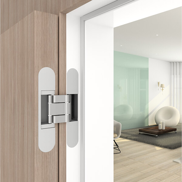 Дверная петля скрытой установки AGB Eclipse 4.1 латунь