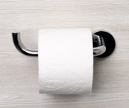 Держатель туалетной бумаги WasserKraft Rhein K-6296