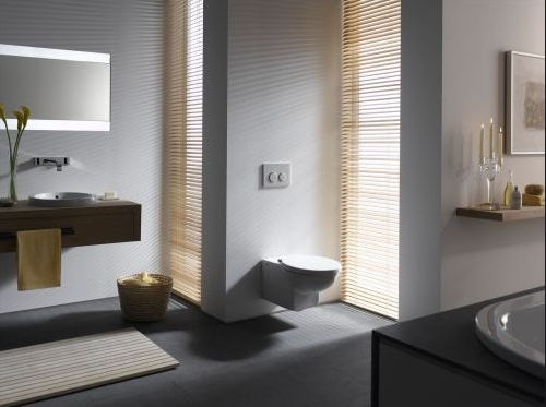 Кнопка смыва Geberit Omega Type 20 115.085.KH.1 хром глянец