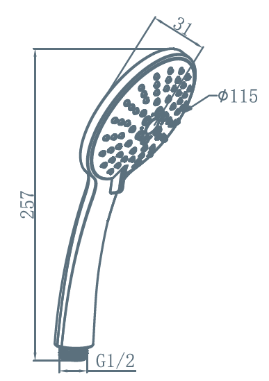 Душевая лейка Am.Pm Spirit F0270064