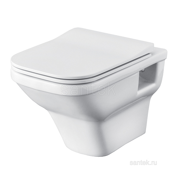 Унитаз подвесной Santek Лайн rimless 1.WH50.1.574