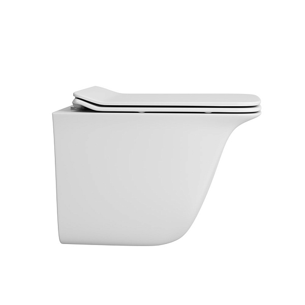 Унитаз подвесной безободковый OWL Eter Ruta-H с сиденьем DP микролифт