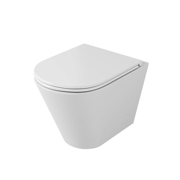 Унитаз подвесной безободковый OWL Vind Ruta-H с сиденьем DP микролифт
