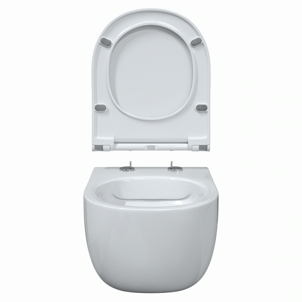 Унитаз подвесной Berges Wasserhaus Ego 082111