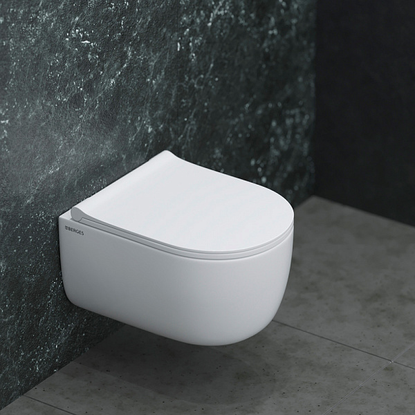 Унитаз подвесной Berges Wasserhaus Ego 082111