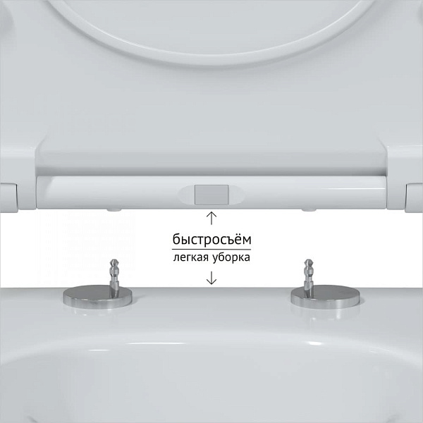 Унитаз подвесной Berges Wasserhaus Ego 082111