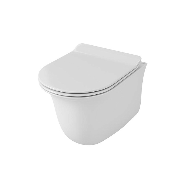 Унитаз подвесной безободковый OWL Eter Cirkel-H с сиденьем DP микролифт